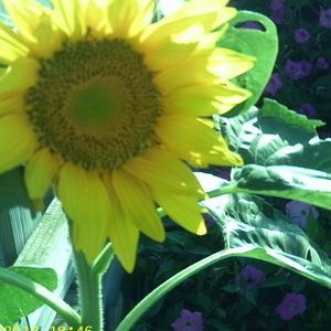 Meet your Posher, Marcia